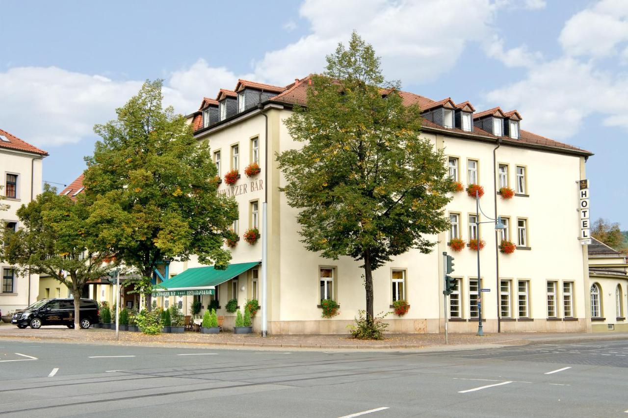 Schwarzer Bär